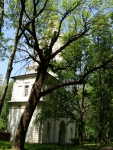 reg-school.ru/tula/yasnogorsk/revyakino/sobytiya/beaver-20150529-image003.jpg